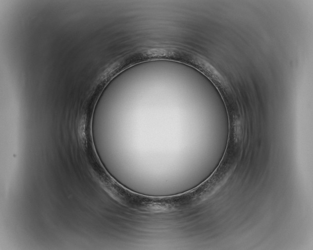 X0000116290490200912071214