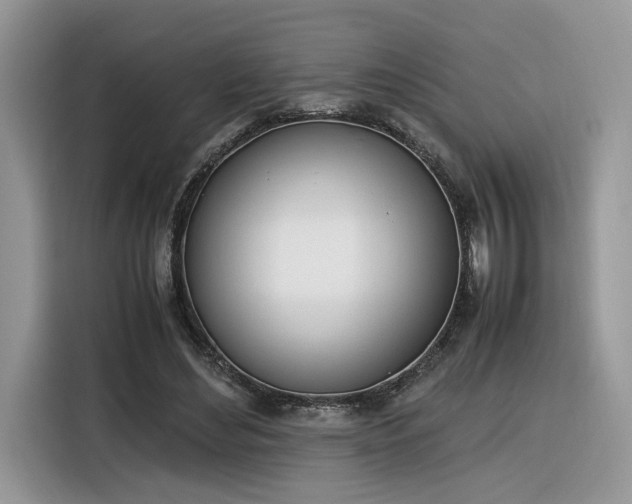 X0000116290492200912071214