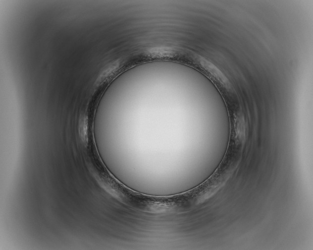 X0000116290494200912071214