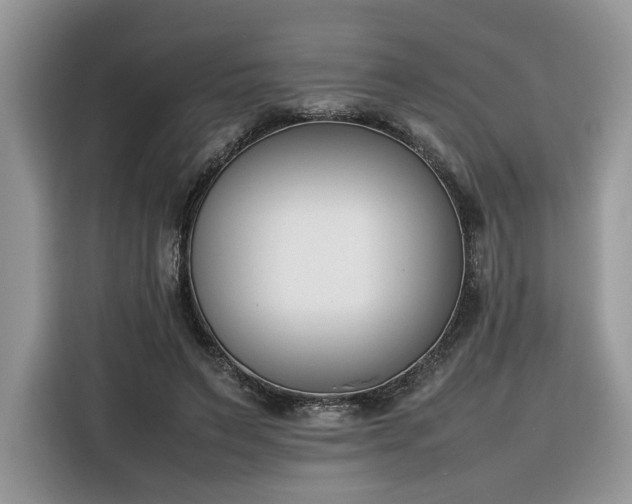 X0000116290495200912071214