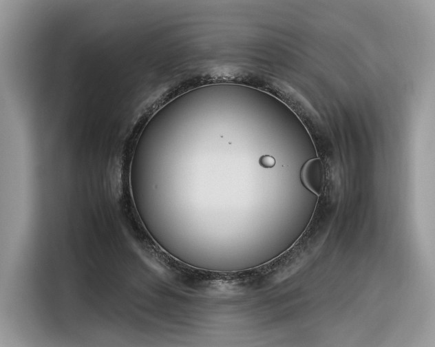 X0000116290496200912071214