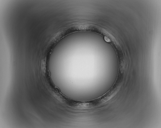 X0000116290497200912071214