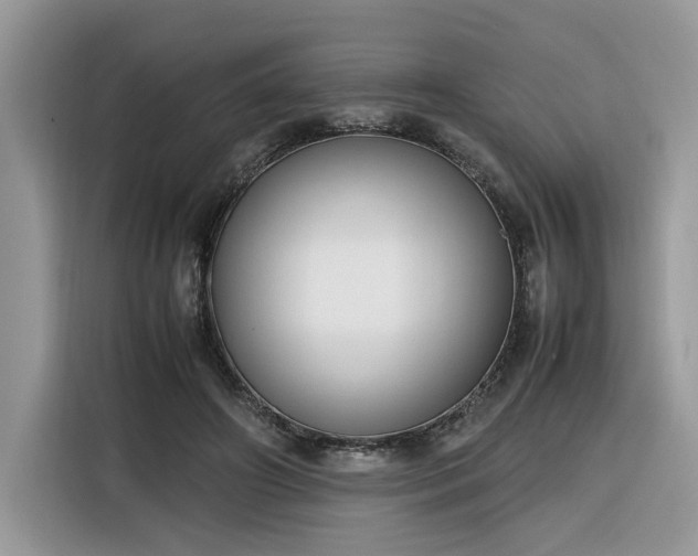 X0000116290498200912071214