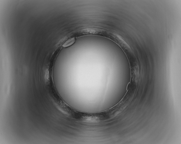 X0000116290500200912071214