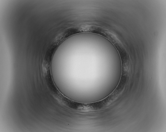 X0000116290503200912071214