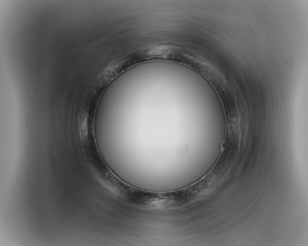 X0000116290504200912071213