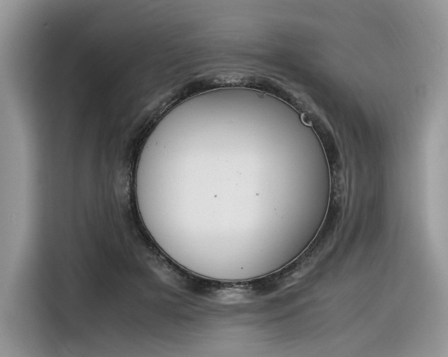 X0000116290505200912071213