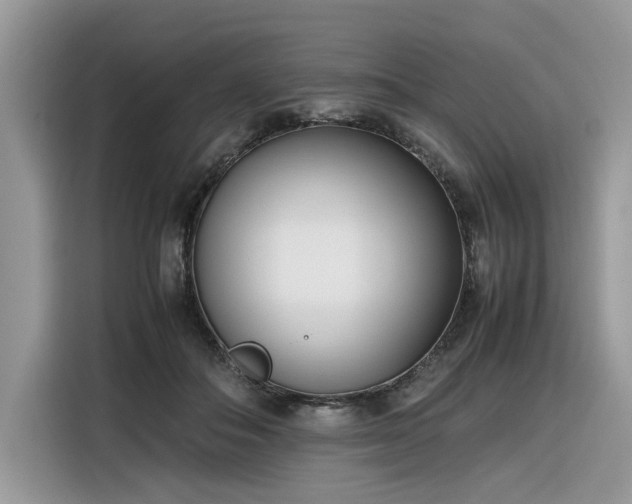 X0000116290506200912071213