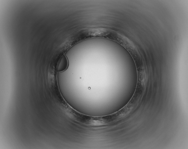 X0000116290510200912071213