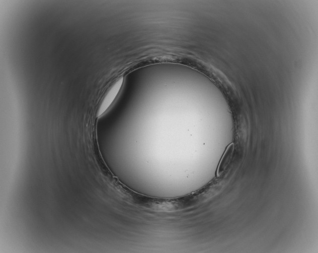 X0000116290513200912071213