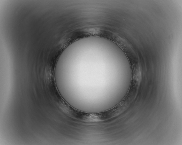 X0000116290518200912071213