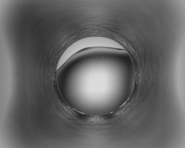 X0000116290521200912071213