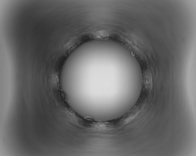 X0000116290523200912071213