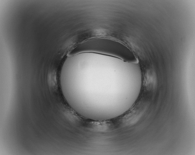 X0000116290524200912071213