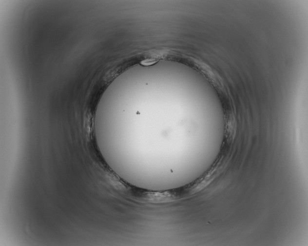 X0000116290525200912071213