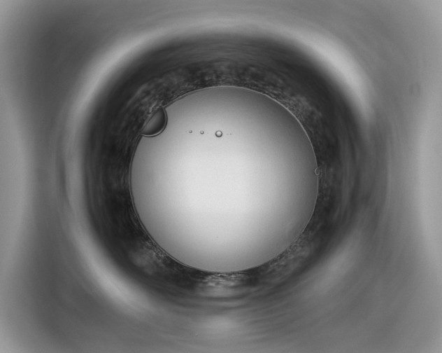 X0000116290526200912071213