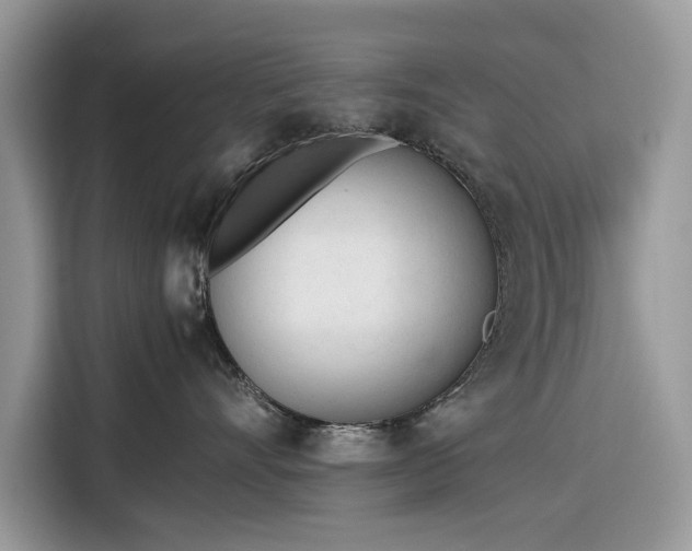 X0000116290528200912071213