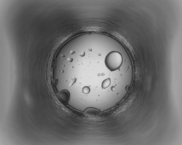 X0000116290529200912071213