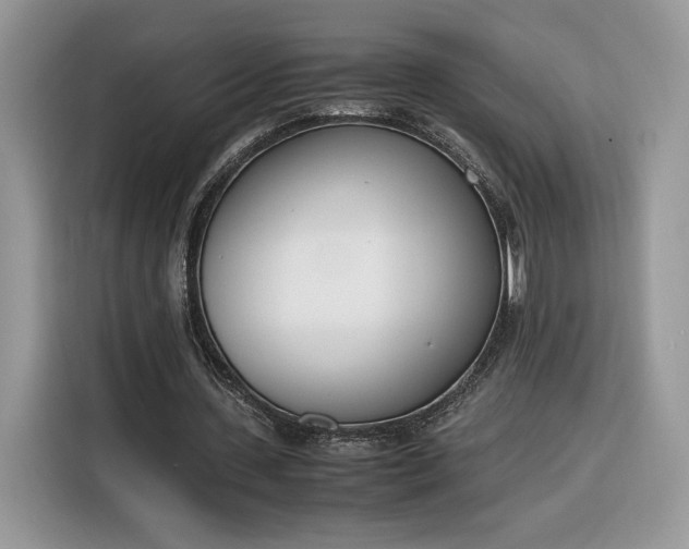 X0000116290531200912071213