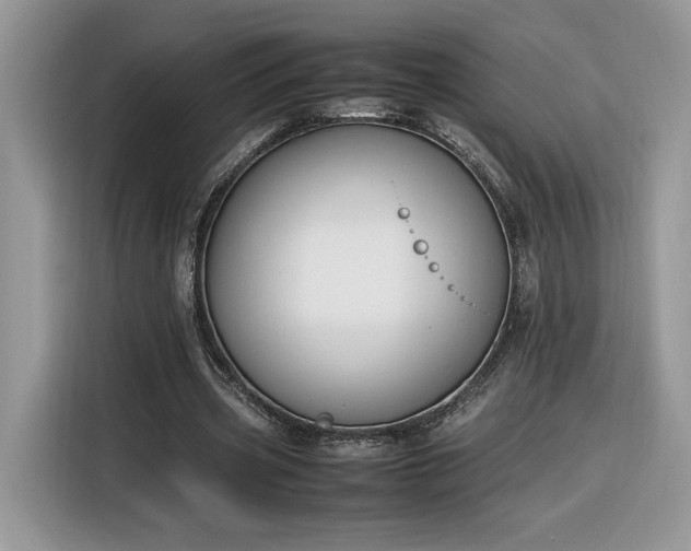 X0000116290533200912071213