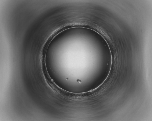 X0000116290534200912071213