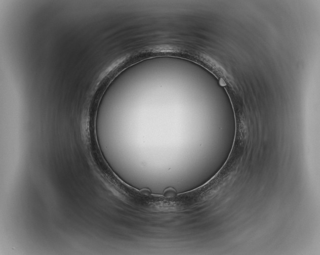 X0000116290535200912071213