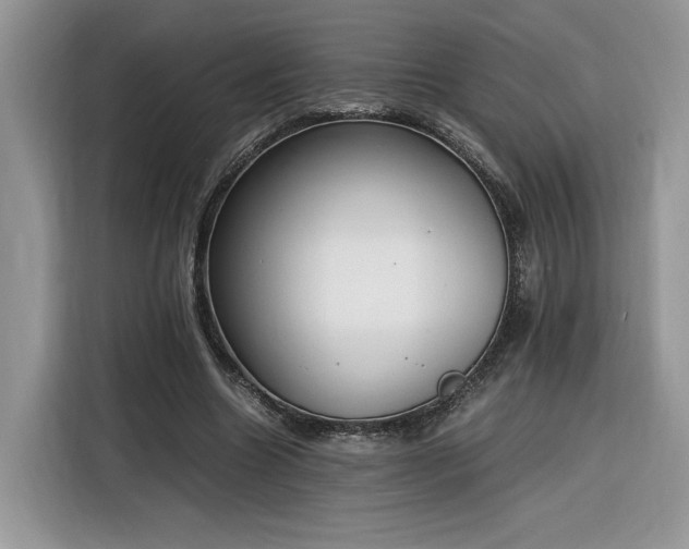 X0000116290538200912071213