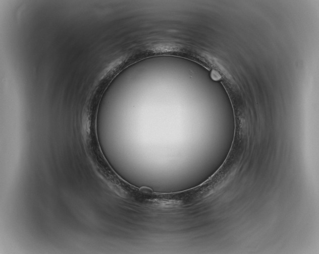 X0000116290539200912071213