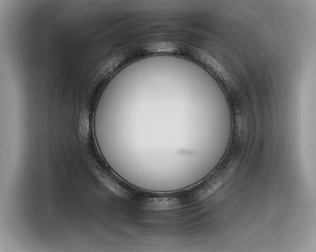 X0000116290541200912071213