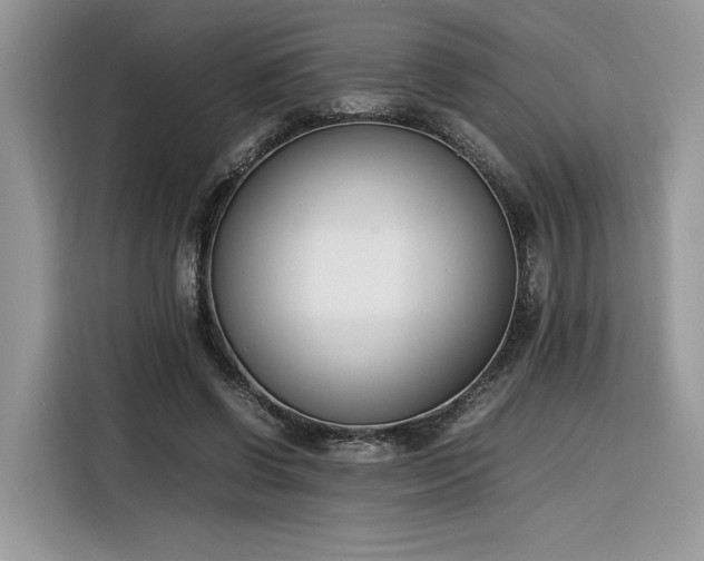 X0000116290542200912071213