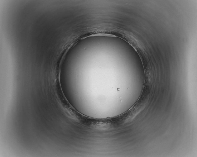 X0000116290546200912071213