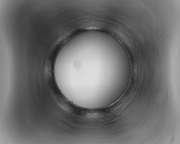 X0000116290547200912071213