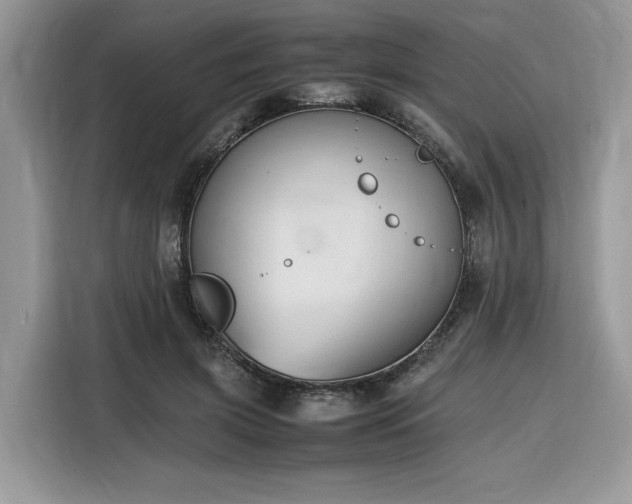 X0000116290549200912071213