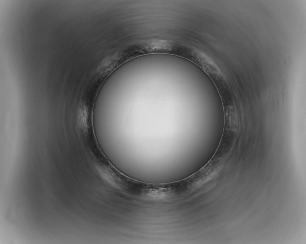 X0000116290550200912071213