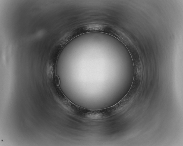 X0000116290551200912071213