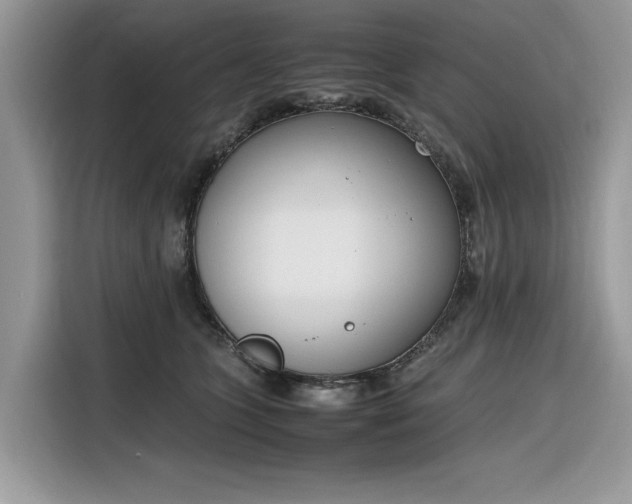 X0000116290563200912071213