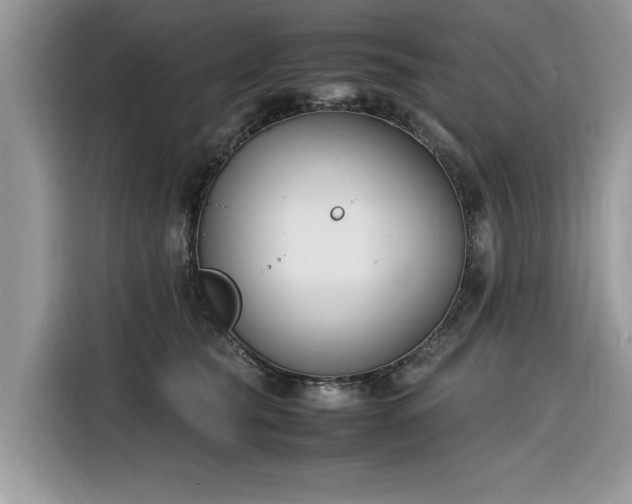 X0000116290565200912071213