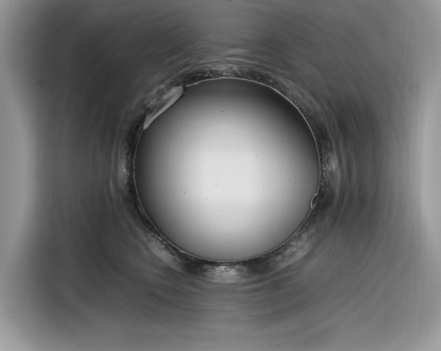 X0000116290566200912071213