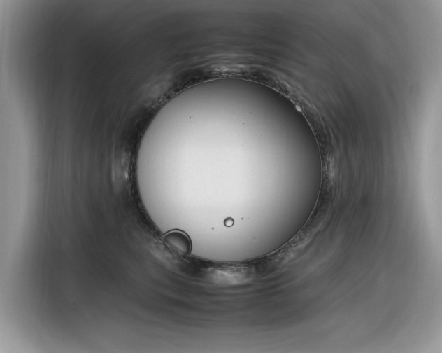 X0000116290567200912071213