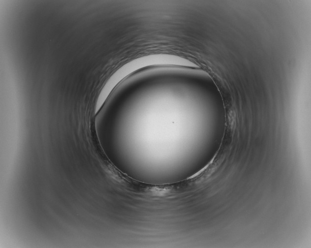 X0000116290570200912071213