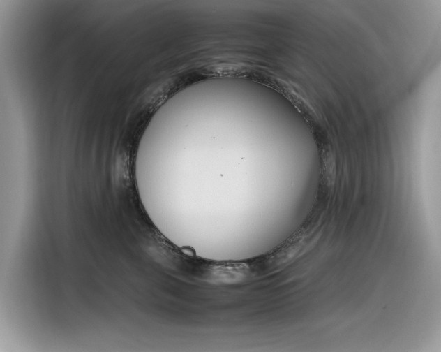 X0000116290571200912071213