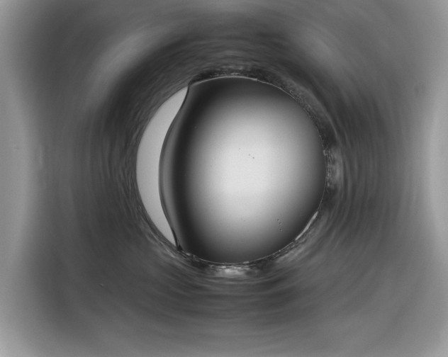 X0000116290573200912071213