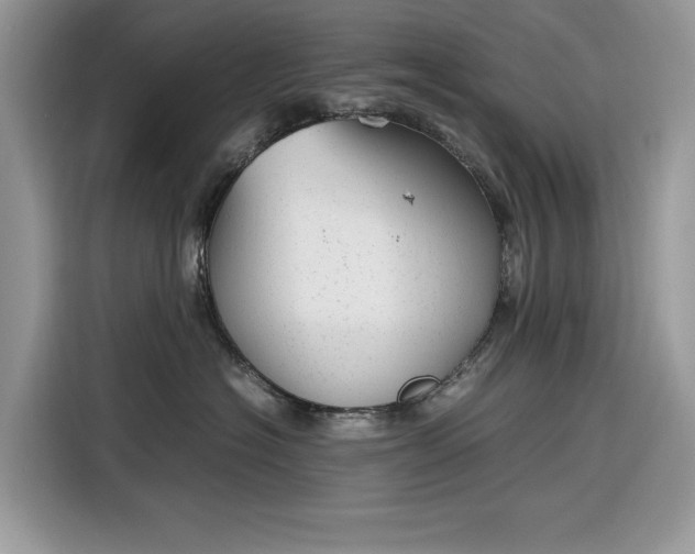 X0000116290574200912071213