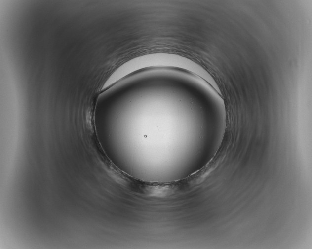 X0000116290575200912071213