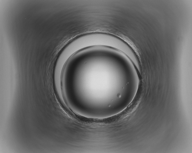 X0000116290577200912071213