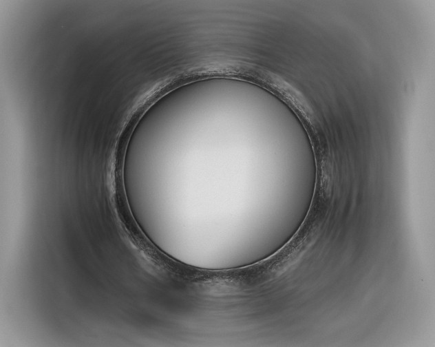 X0000116290578200912071213