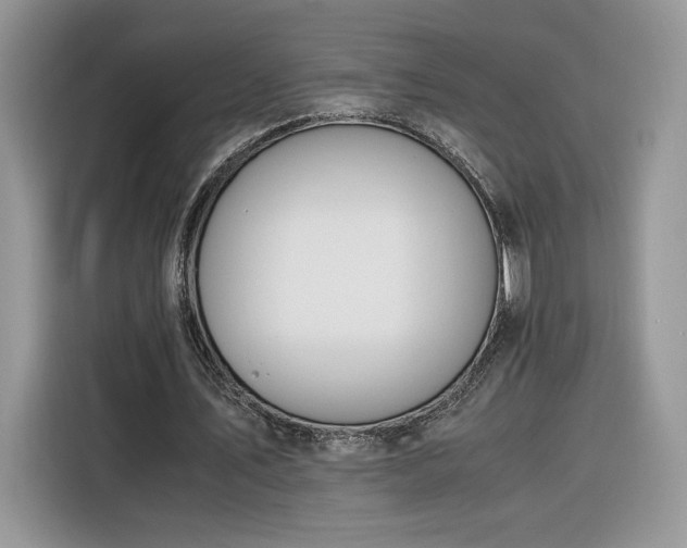 X0000116290579200912071213