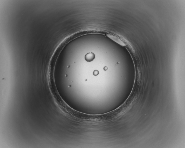 X0000116290580200912071212