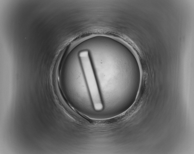 X0000116290581200912071212