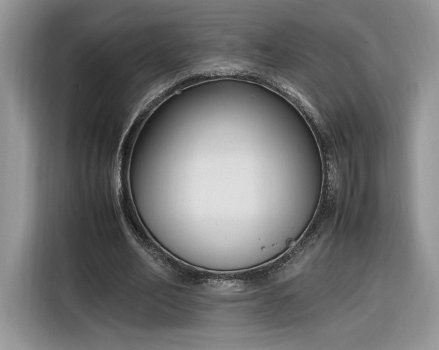 X0000116290582200912071212